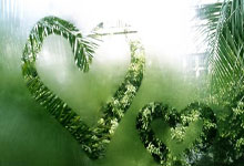 哪里能找到中国女足比赛的完整录像？