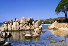 美金杯比分怎么看?最新赛况与解读全在这里